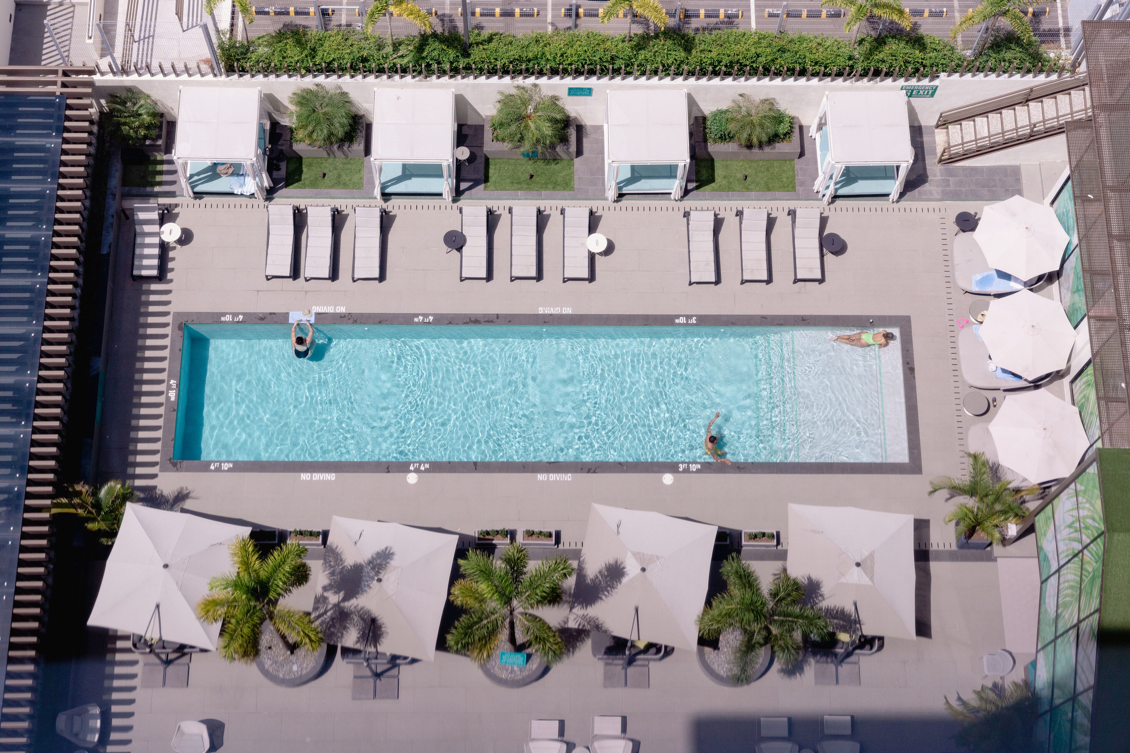 An aerial view of a rooftop swimming pool with lounge chairs, umbrellas, and palm trees.