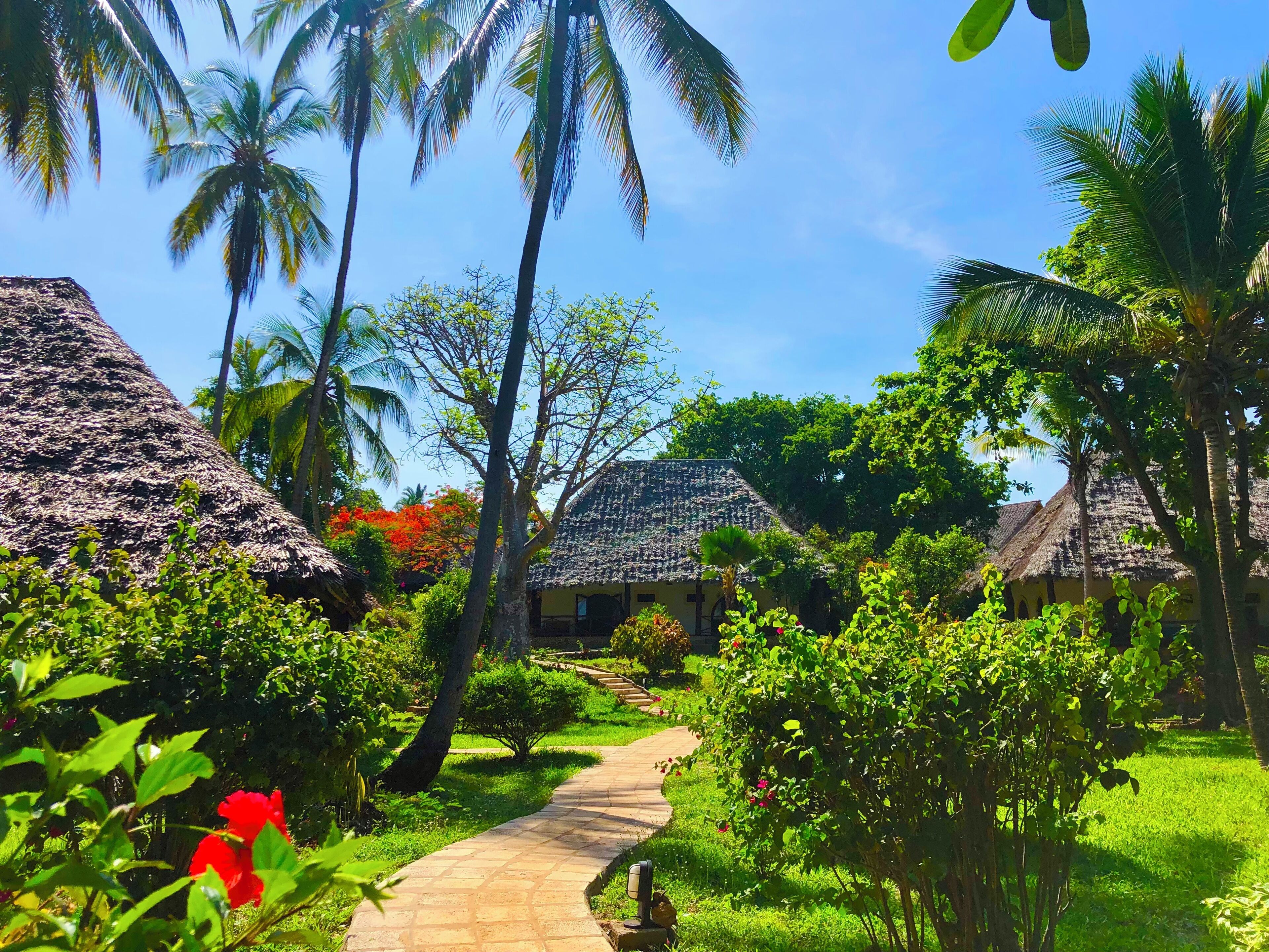 junior suite, garden view | 1 bedroom, minibar, in-room safe, desk