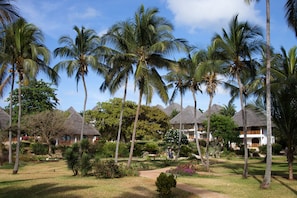 Jardim