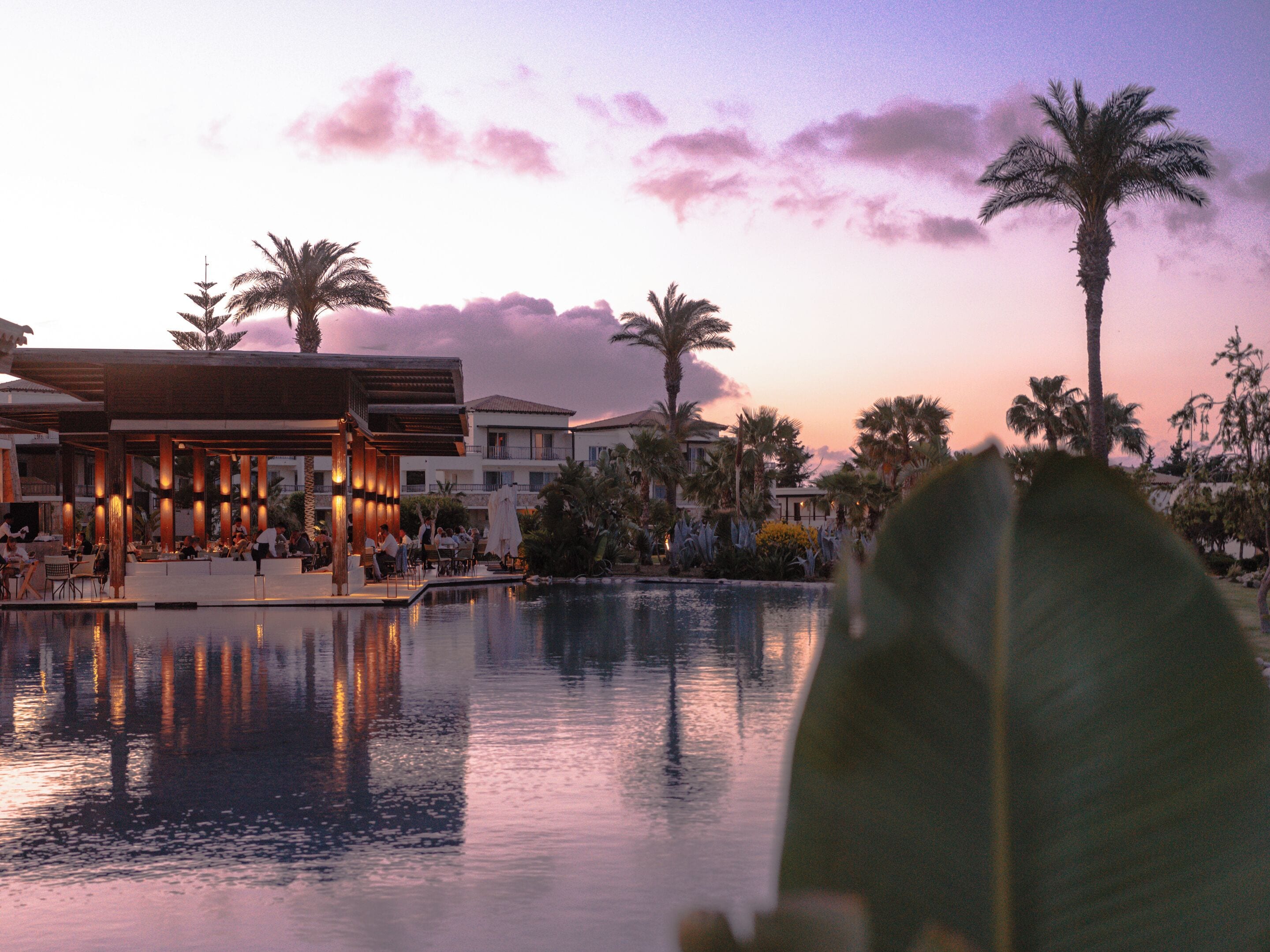 Un resort con piscina, palmeras y un edificio con terraza.