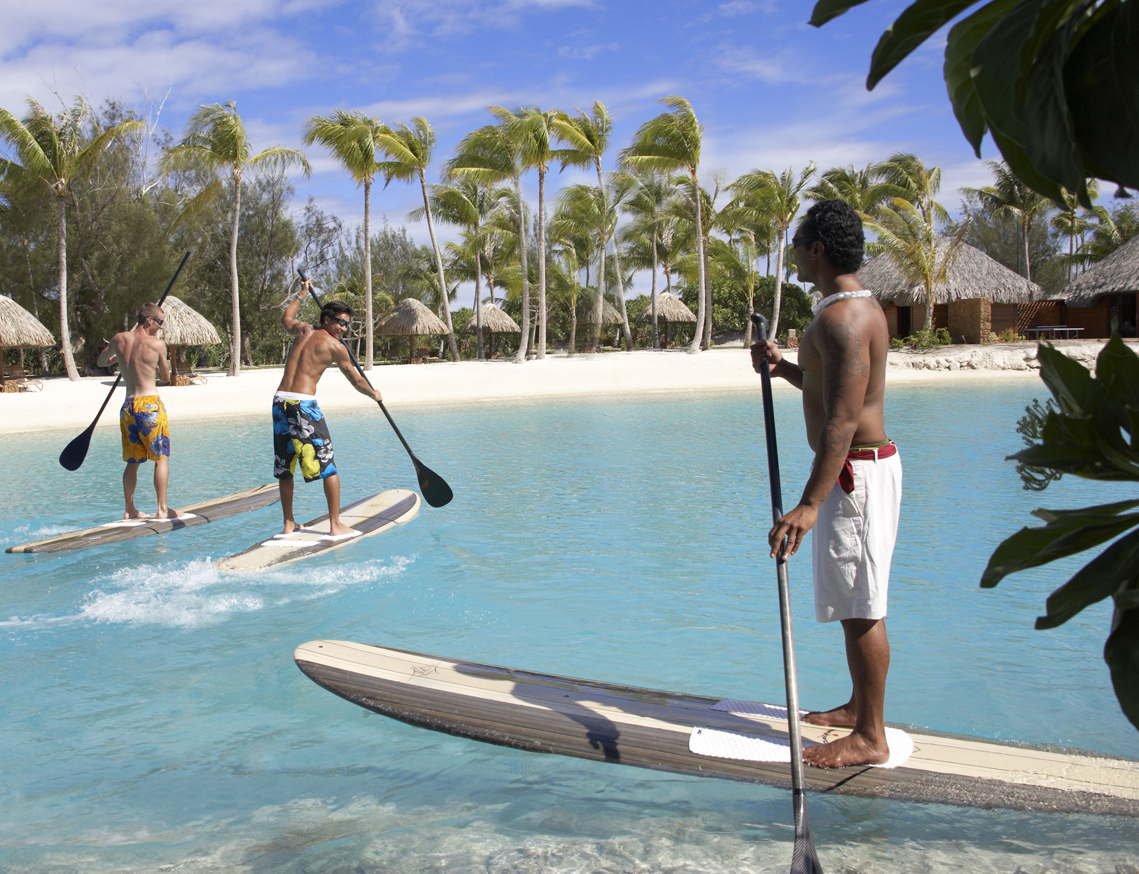 A beach with paddleboards, palm trees, and thatched-roof huts.