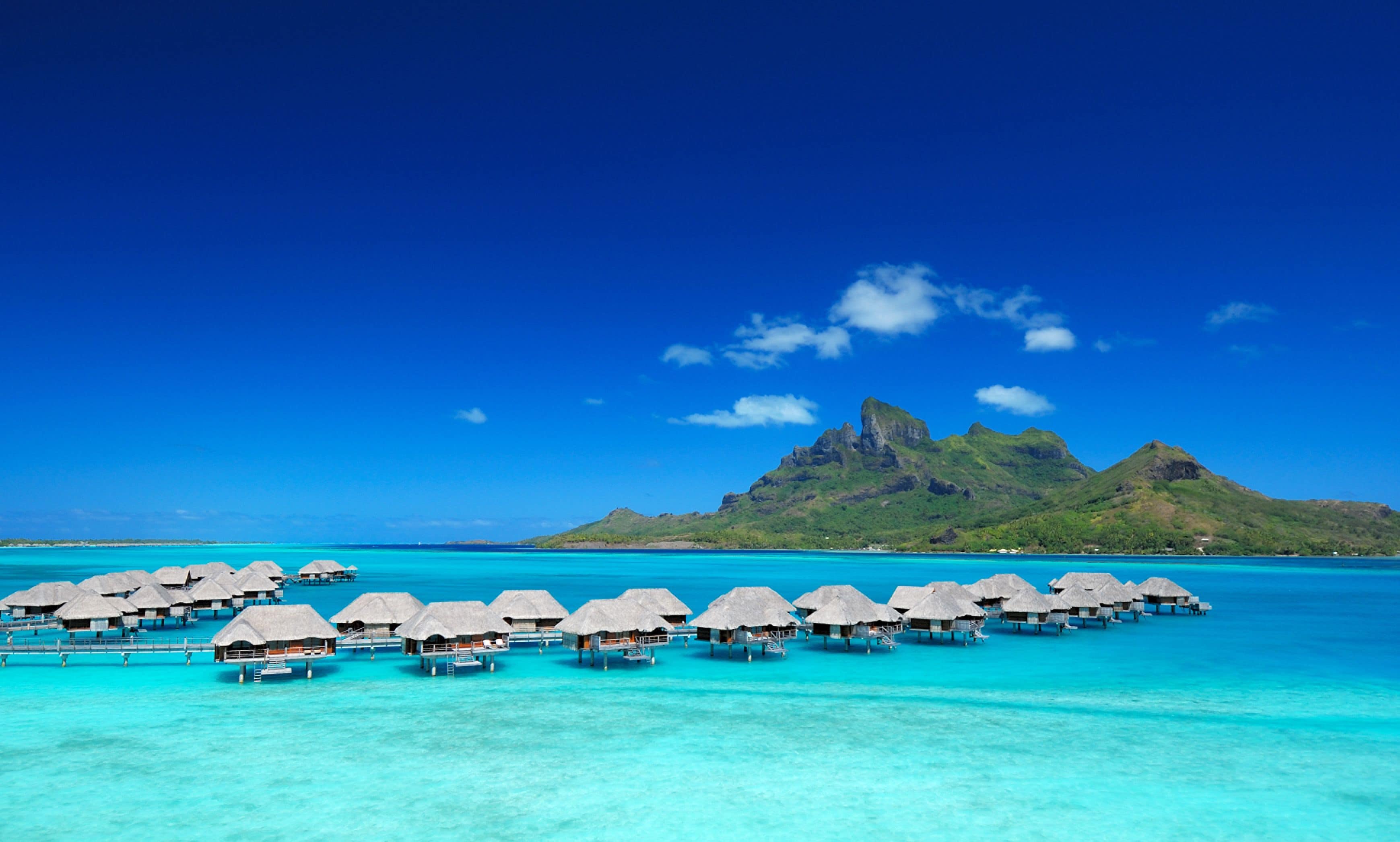 Foto - Four Seasons Resort Bora Bora