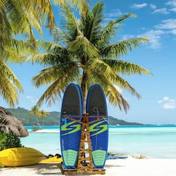 Guests can enjoy a serene beach setting with a palm tree and surfboards nearby.
