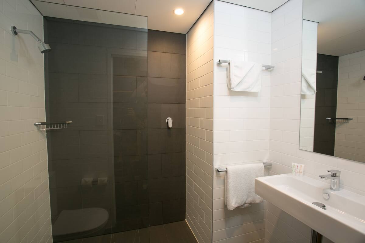 shower, free toiletries, hair dryer, towels