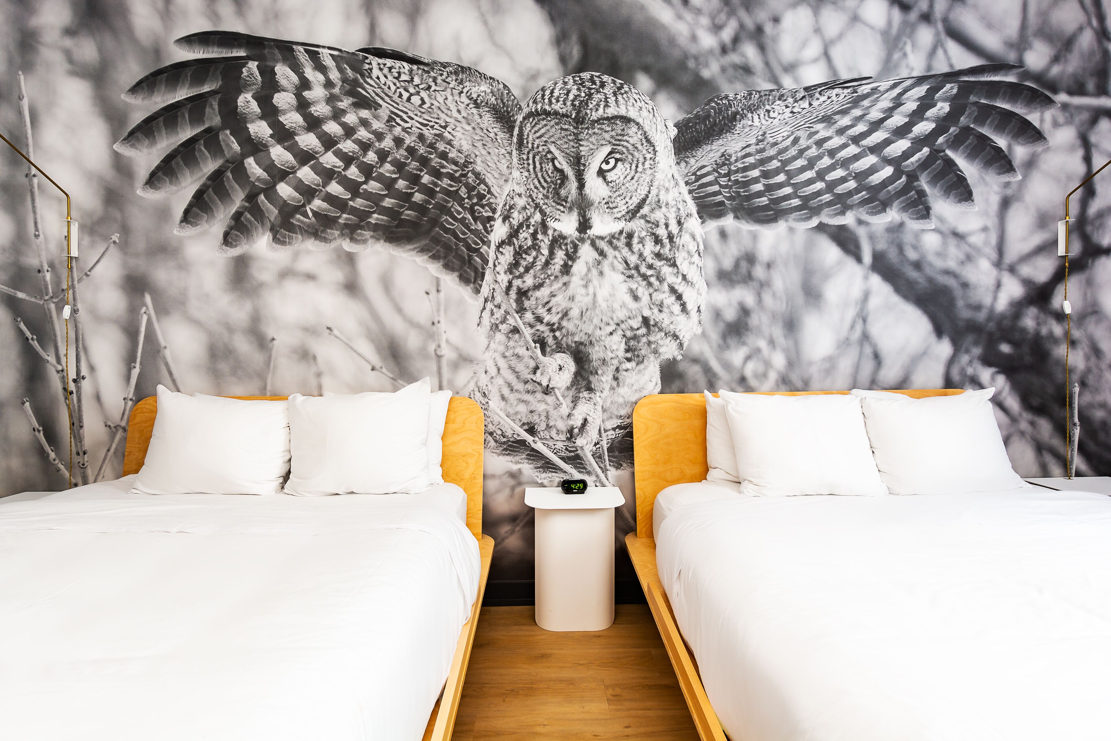 room, 2 queen beds | 1 bedroom, soundproofing, iron/ironing board, travel cot