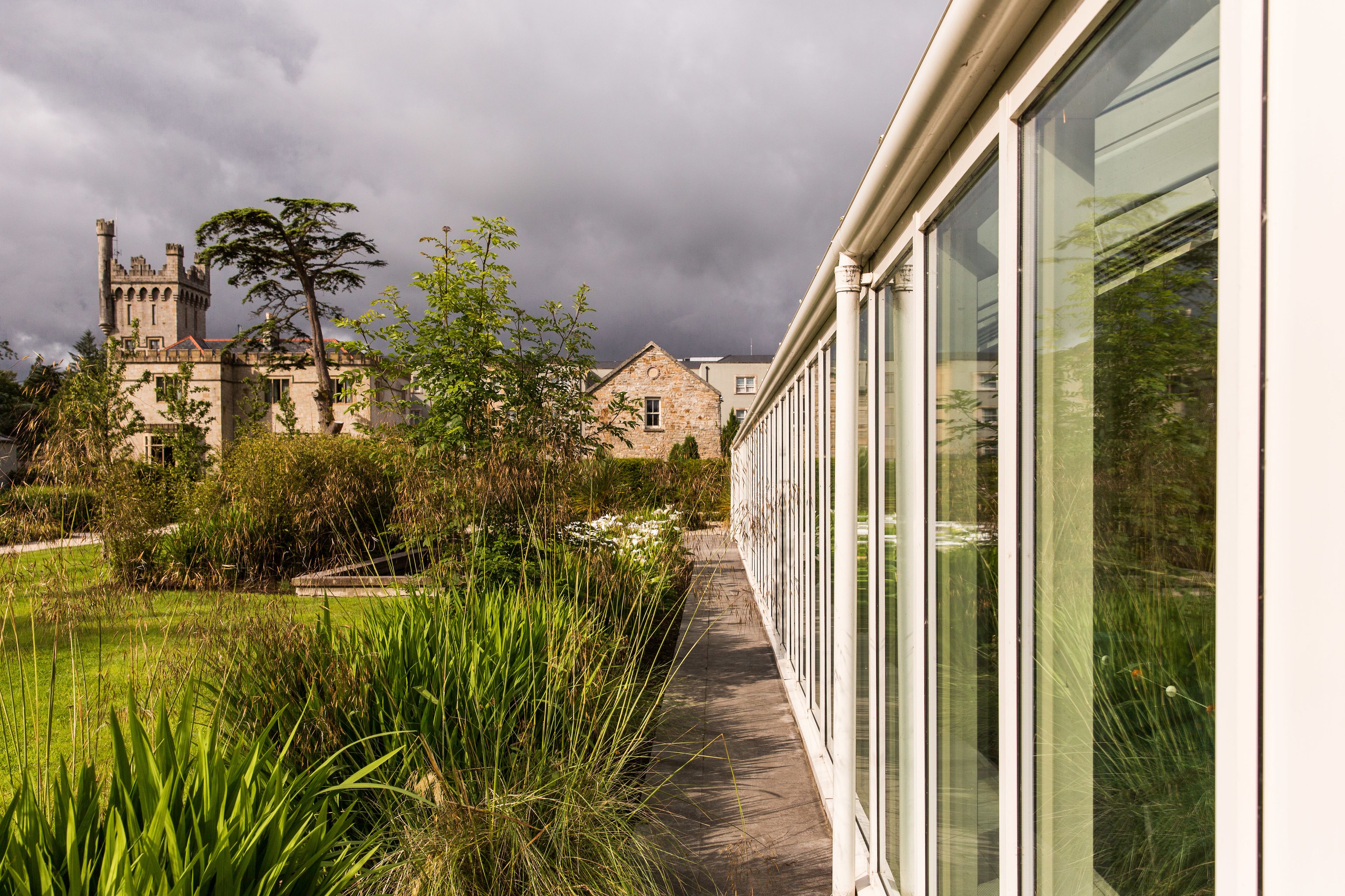 A pathway leading to a historic building with a tower, surrounded by lush greenery.