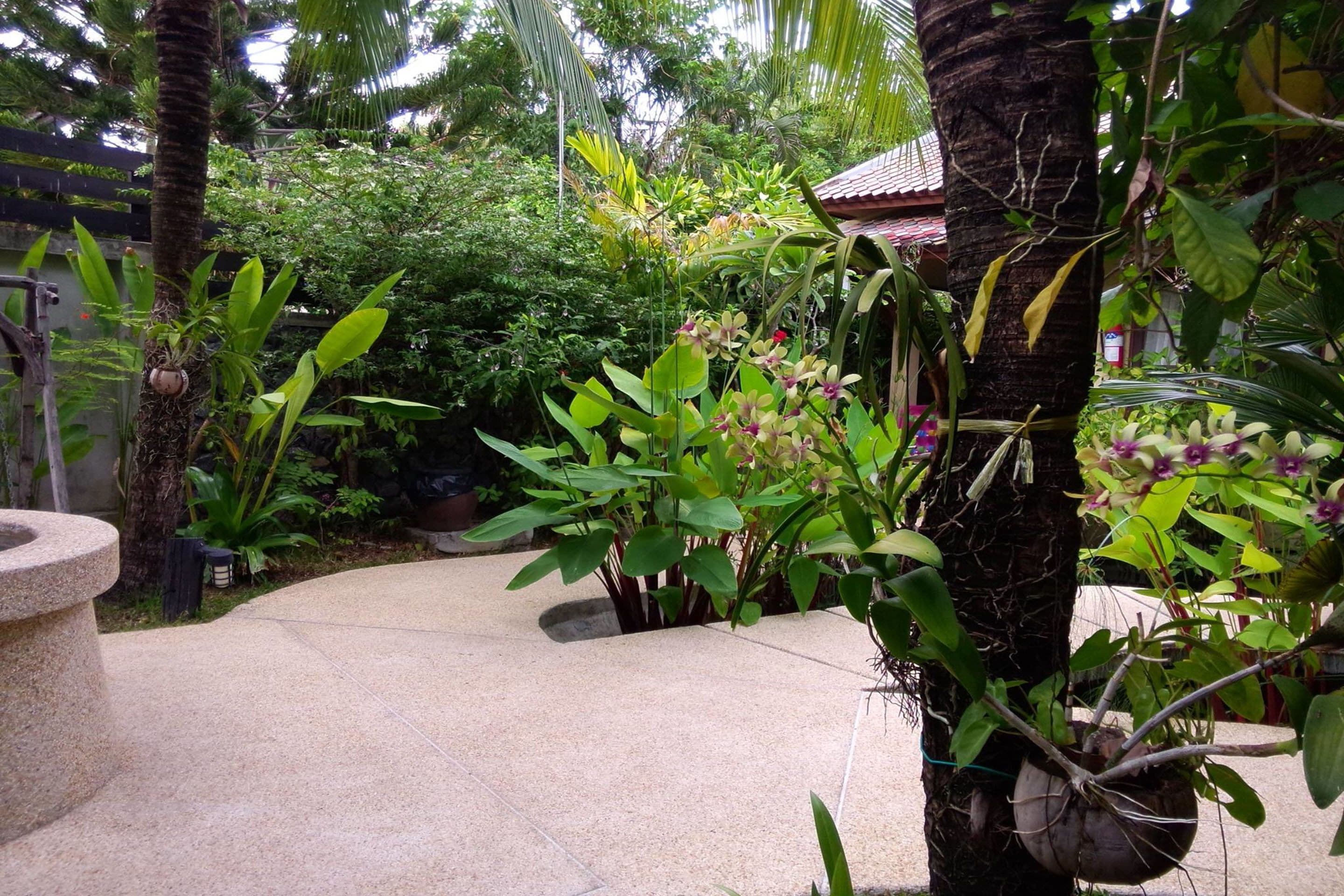 Foto - Rummana Boutique Resort
