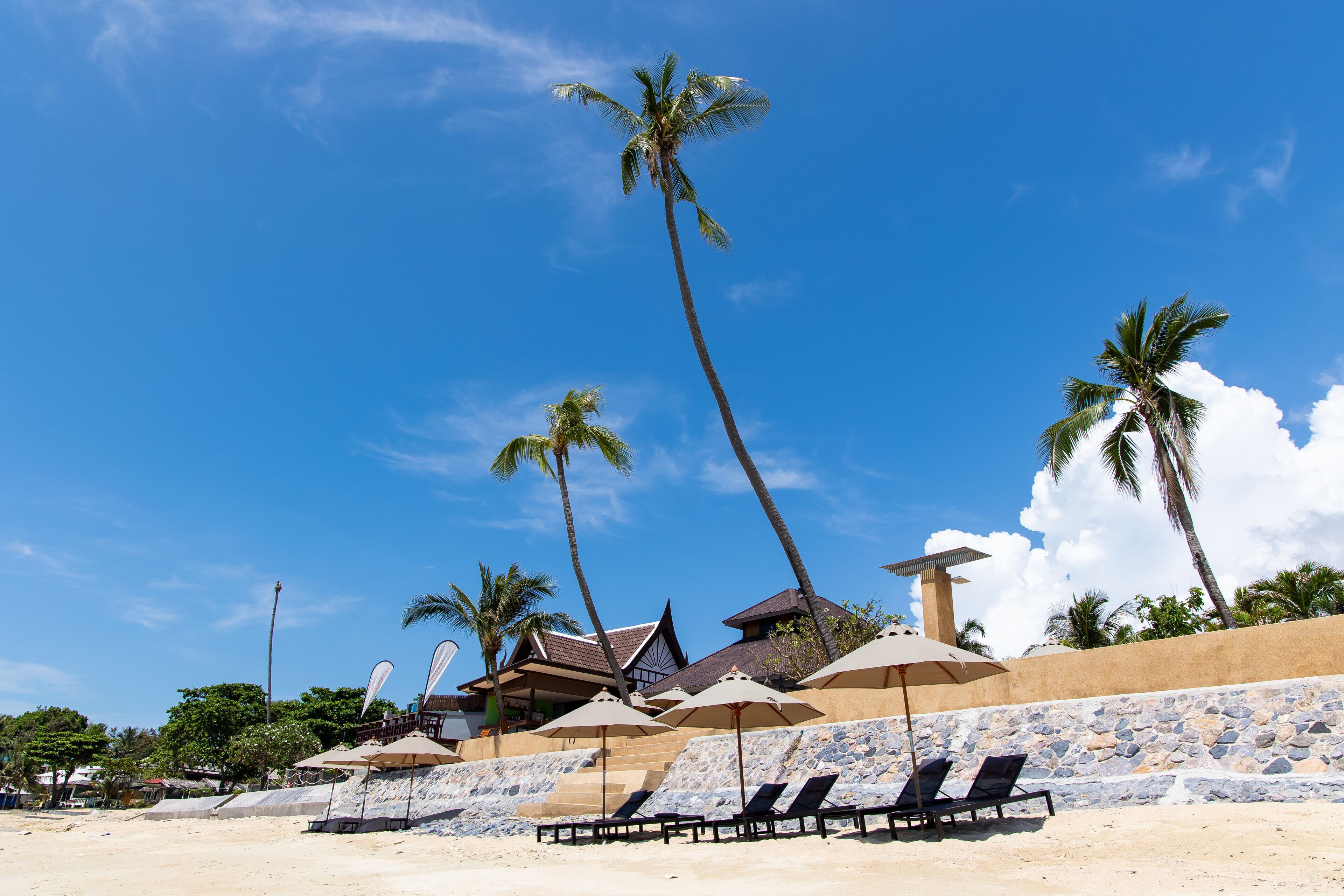 Un complexe hôtelier de bord de mer, avec des palmiers, des chaises longues et des parasols.