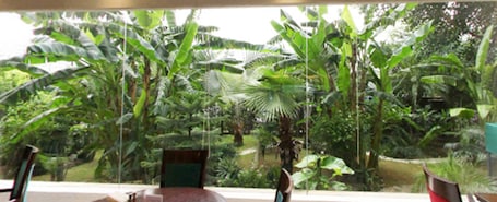 Jardín. Dia Park Premier