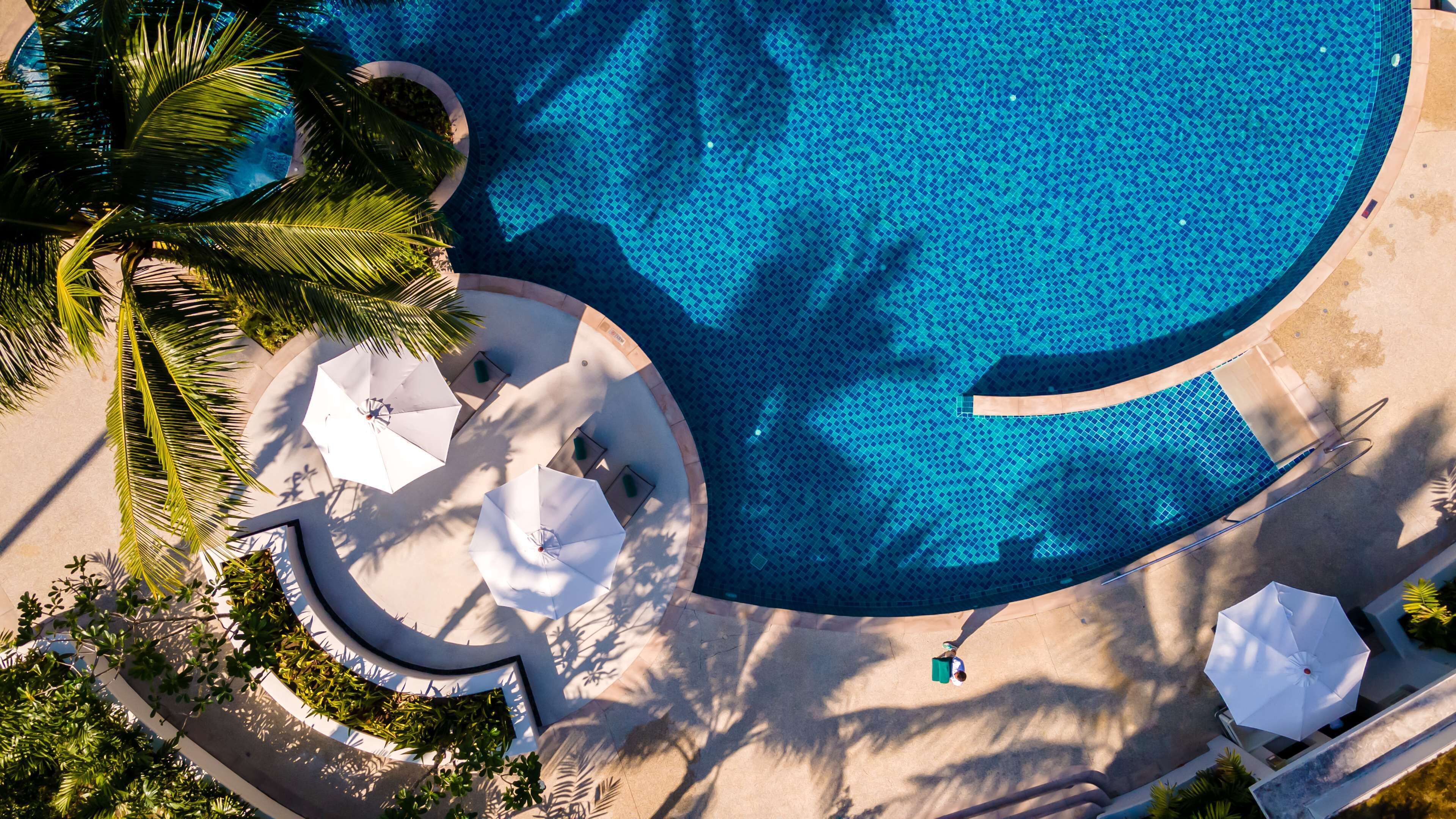 Vue aérienne d’une piscine circulaire entourée de palmiers et agrémentée de parasols blancs.