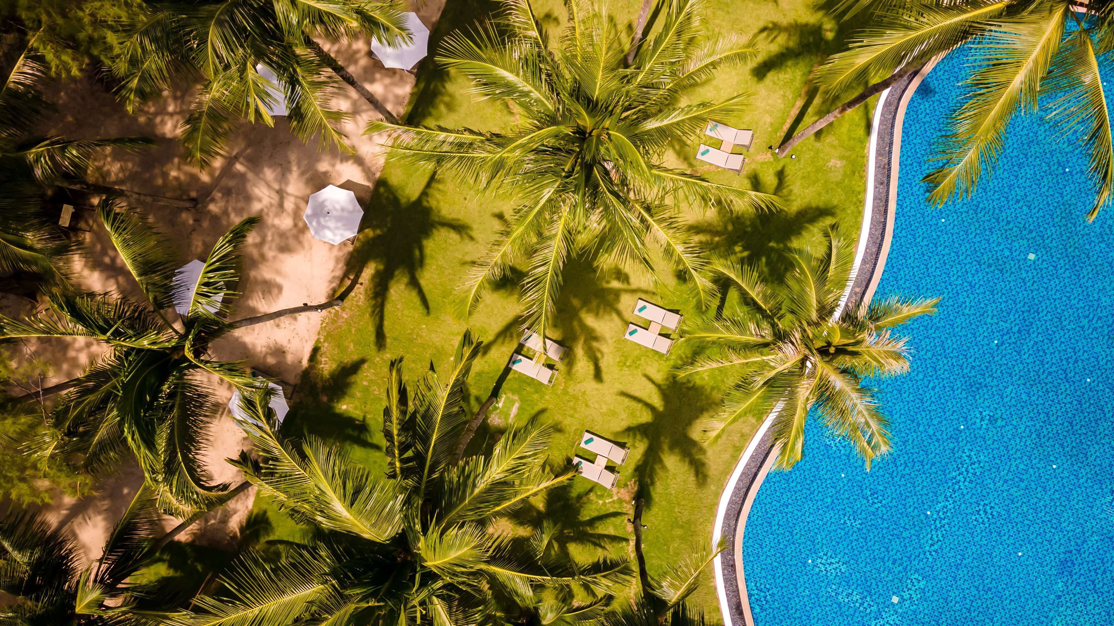 Luchtfoto van een resort met een zwembad, palmbomen en ligstoelen.