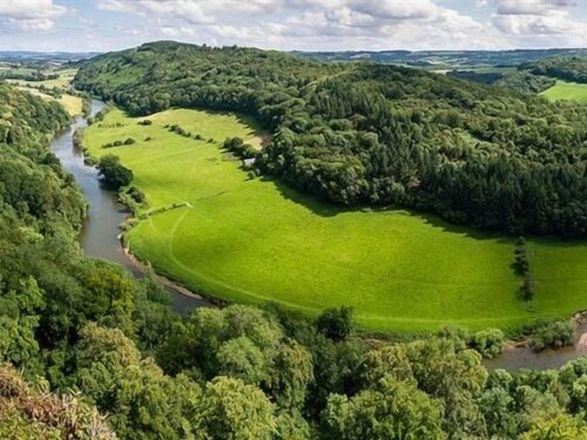 A lush green landscape with a river, dense forest, and open fields.