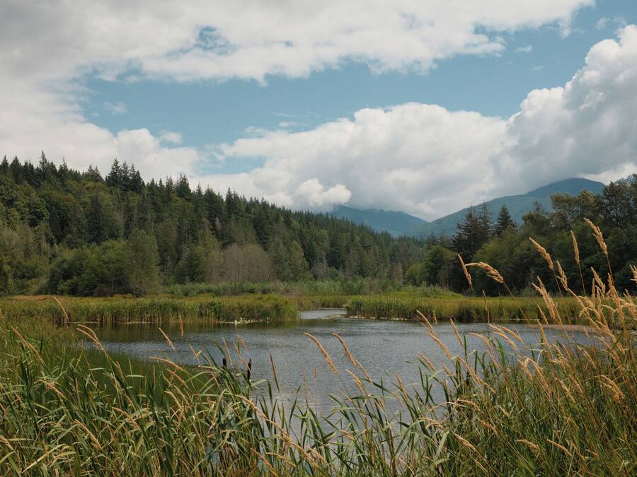 Un paisaje natural con un lago, un bosque denso y montañas al fondo.