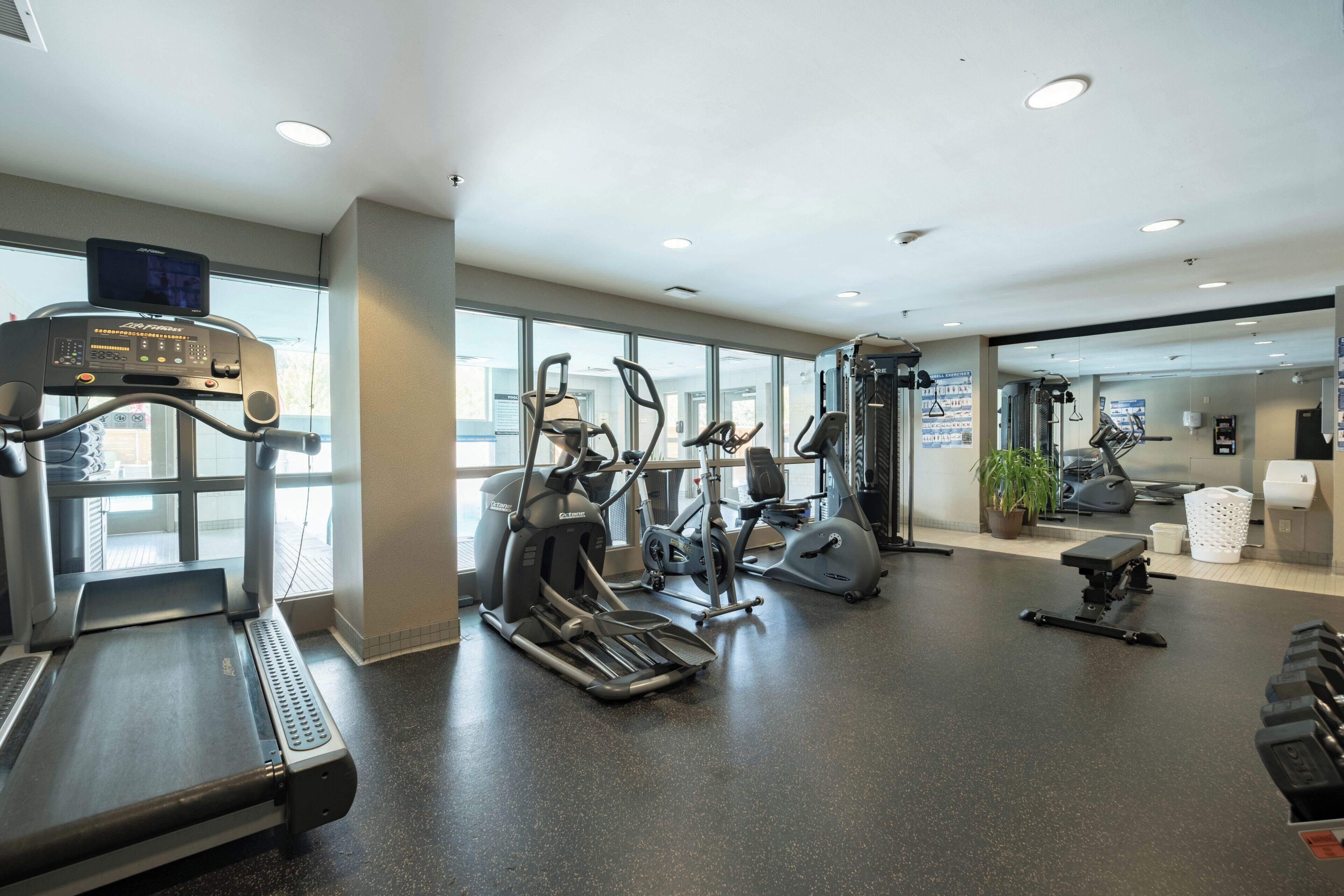 Une salle de sport équipée de tapis de course, de vélos elliptiques et de matériel de musculation.