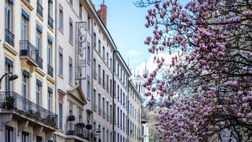 A row of historic buildings with balconies and a tree with pink blossoms.