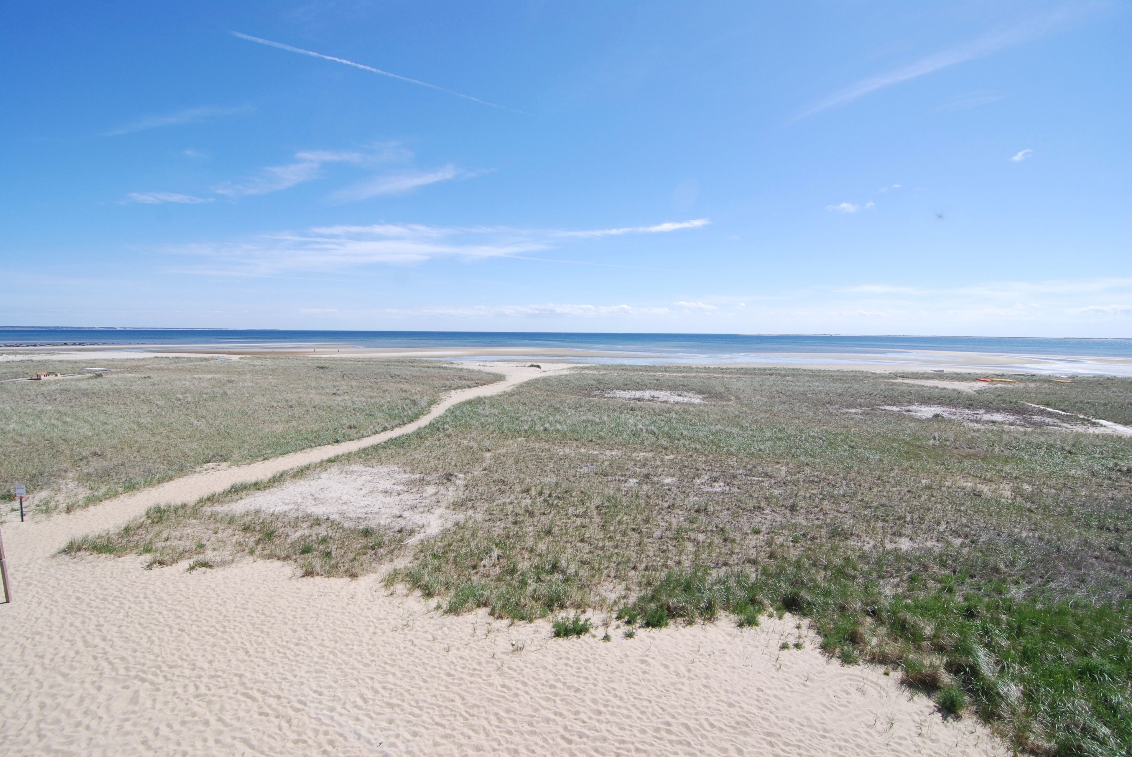 Une plage avec un sentier sablonneux menant à l’eau, bordée d’une végétation clairsemée.