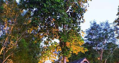 Suanthip Vana Resort