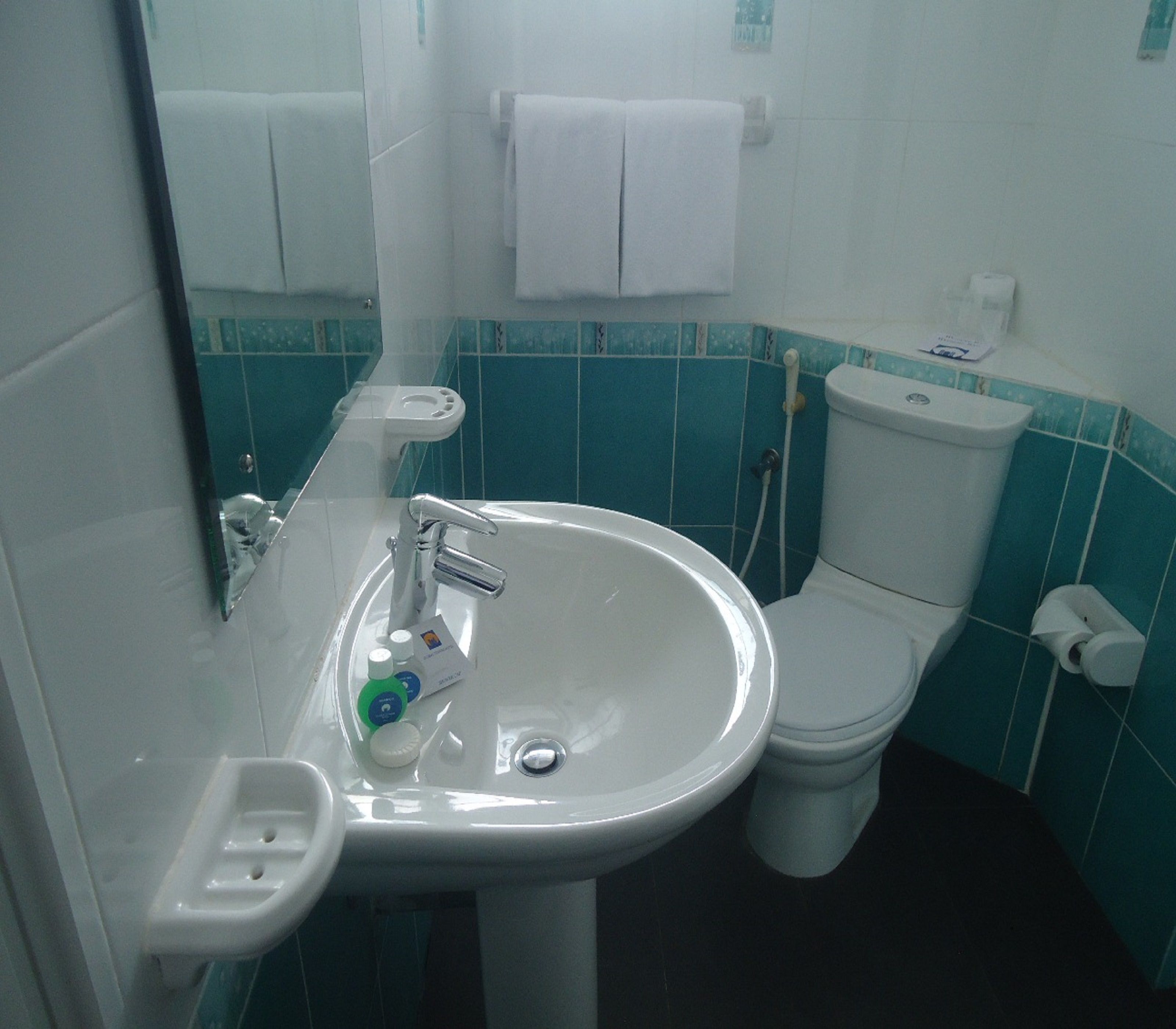 A bathroom with a sink, toilet, and mirror.