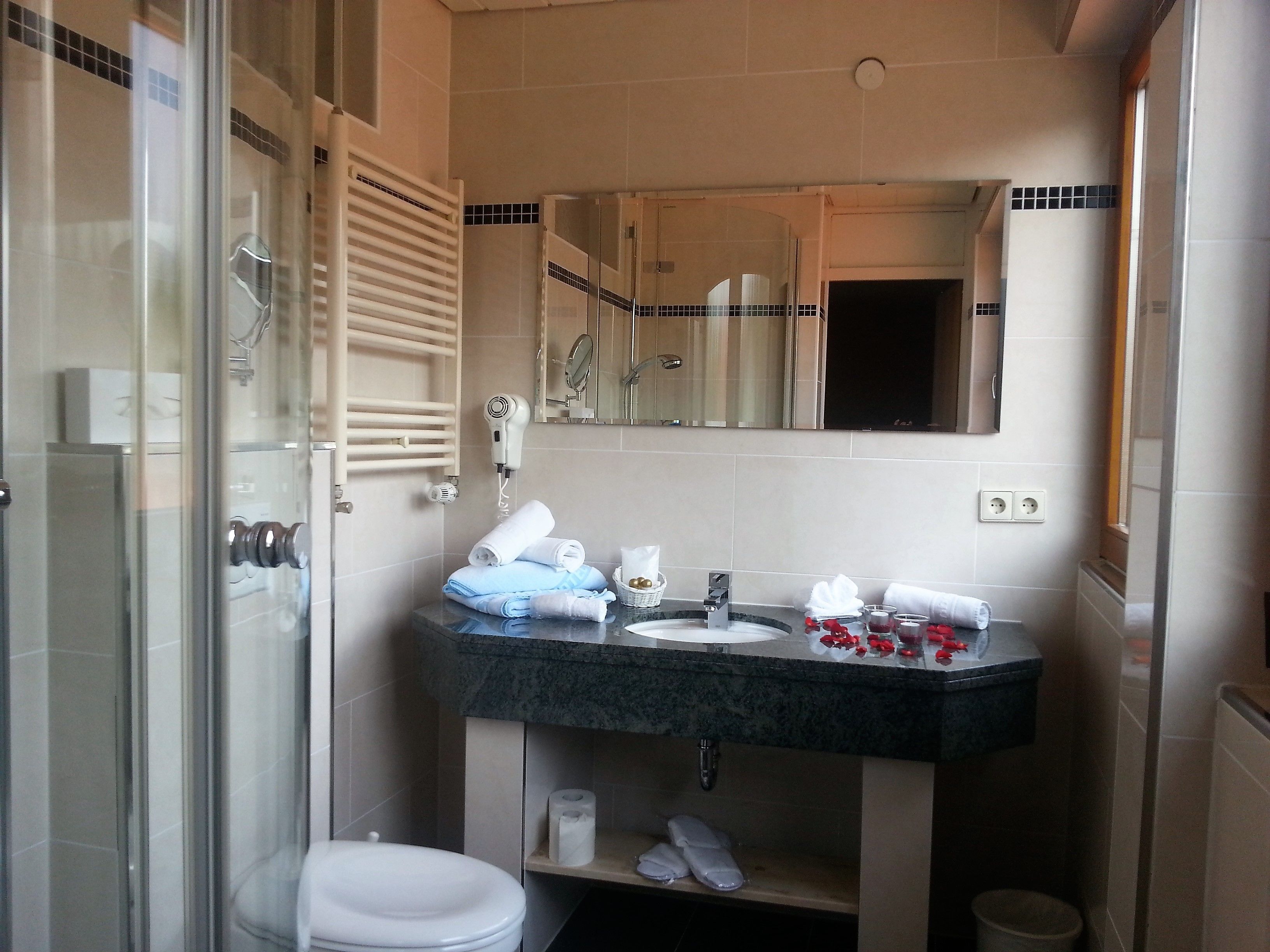 A bathroom with a glass shower enclosure, a sink with a mirror above, and a toilet.
