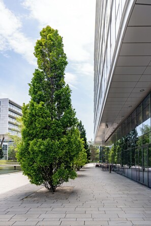 Sundeck - Courtyard Vienna Prater/Messe (Vienna)