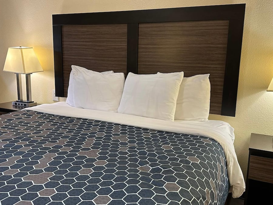 Ropa de cama de alta calidad, escritorio y cortinas blackout