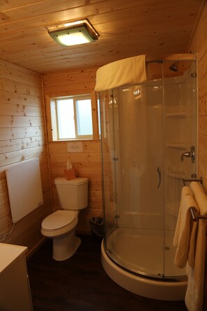 Shower, free toiletries, hair dryer, towels - Alaska Glacier Lodge (Palmer)