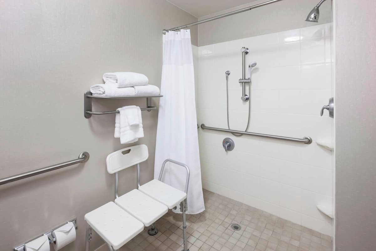 suite, 1 bedroom | bathroom | combined shower/bathtub, free toiletries, hair dryer, towels