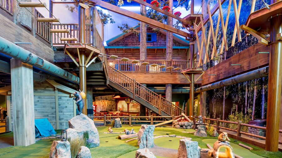 Great Wolf Lodge Illinois