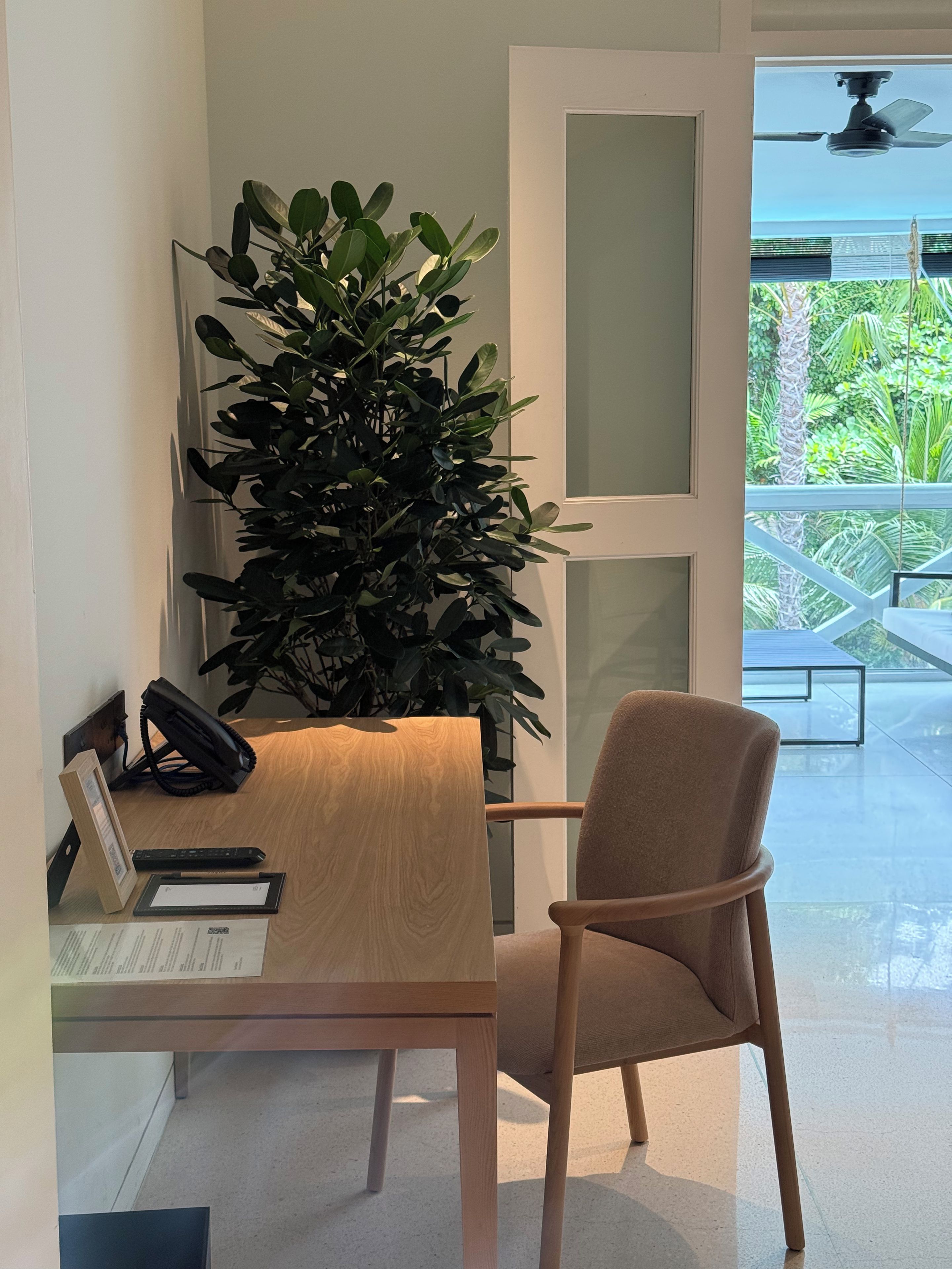 A modern office space with a desk, chair, and a large potted plant.