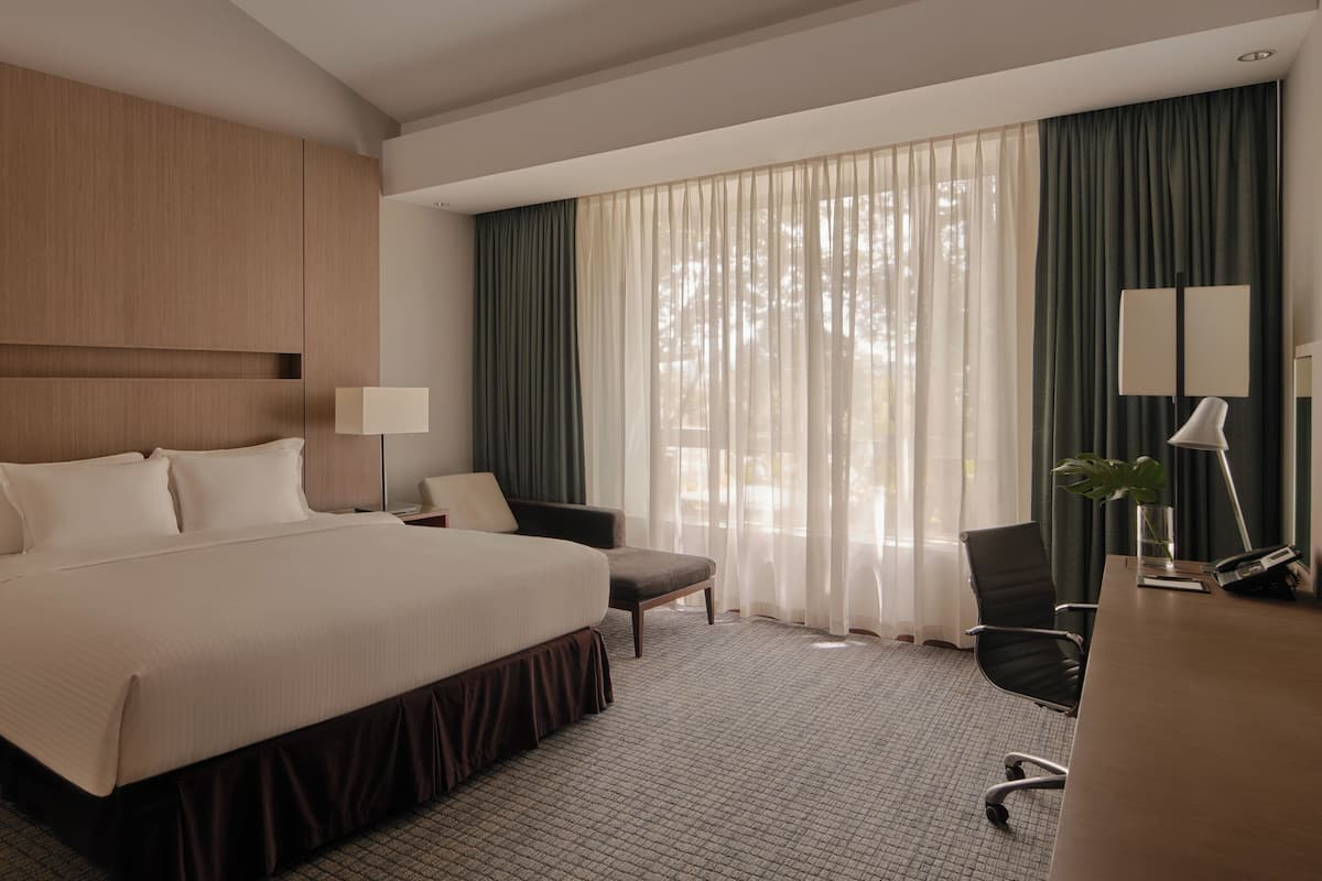 Habitació d'hotel amb un llit gran, dues taules de nit amb làmpades, un escriptori amb una cadira, una taula petita amb una planta i una finestra gran amb cortines.