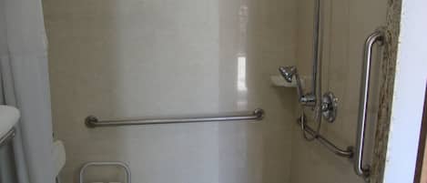 A bathroom with a shower, grab bars, and a toilet.
