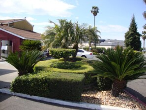 A parking lot with neatly trimmed hedges and palm trees. - Oasis Inn Sacramento - Elk Grove (Sacramento)
