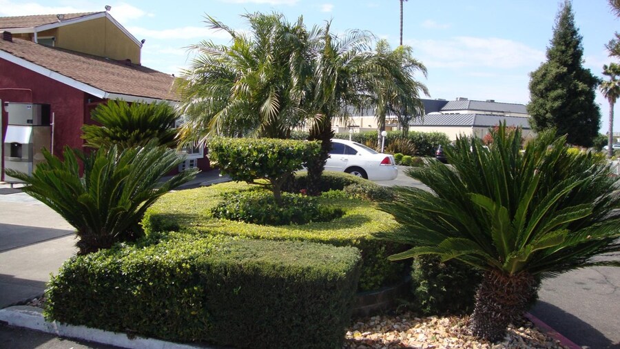 Oasis Inn Sacramento - Elk Grove