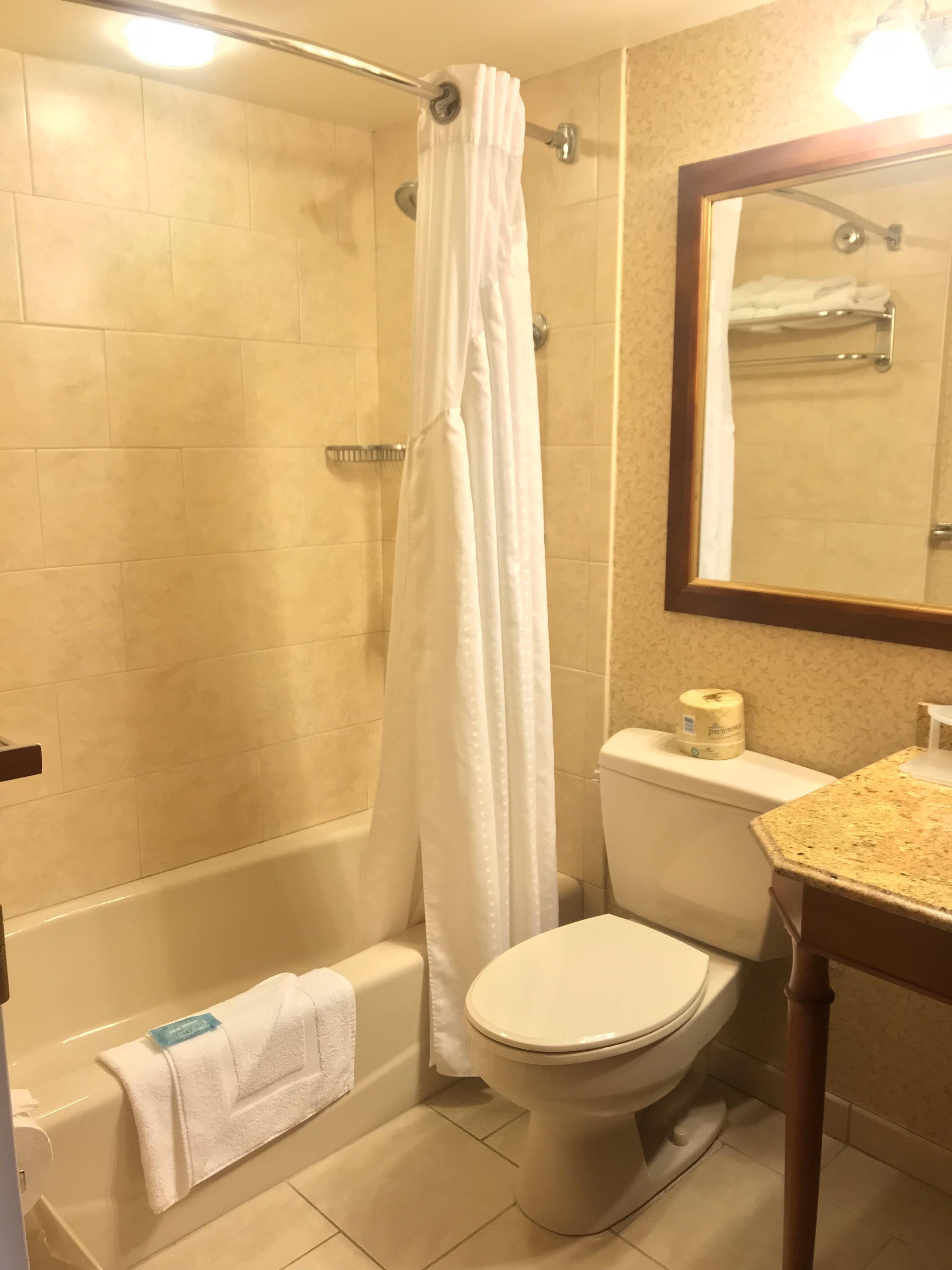 combined shower/bathtub, free toiletries, hair dryer, towels