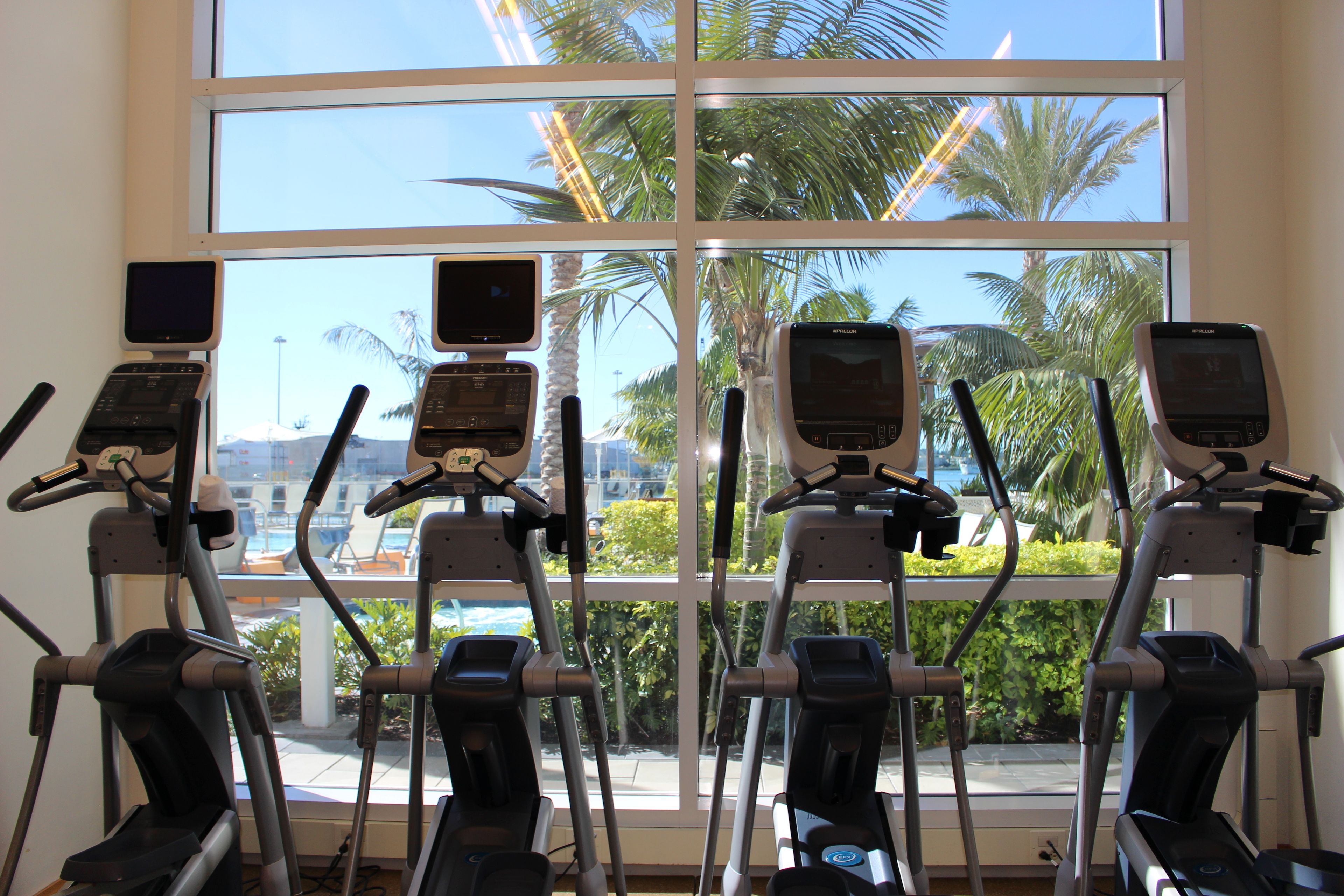 Varias bicicletas estáticas con pantallas digitales, ubicadas frente a un ventanal con vistas a palmeras y cielo despejado.