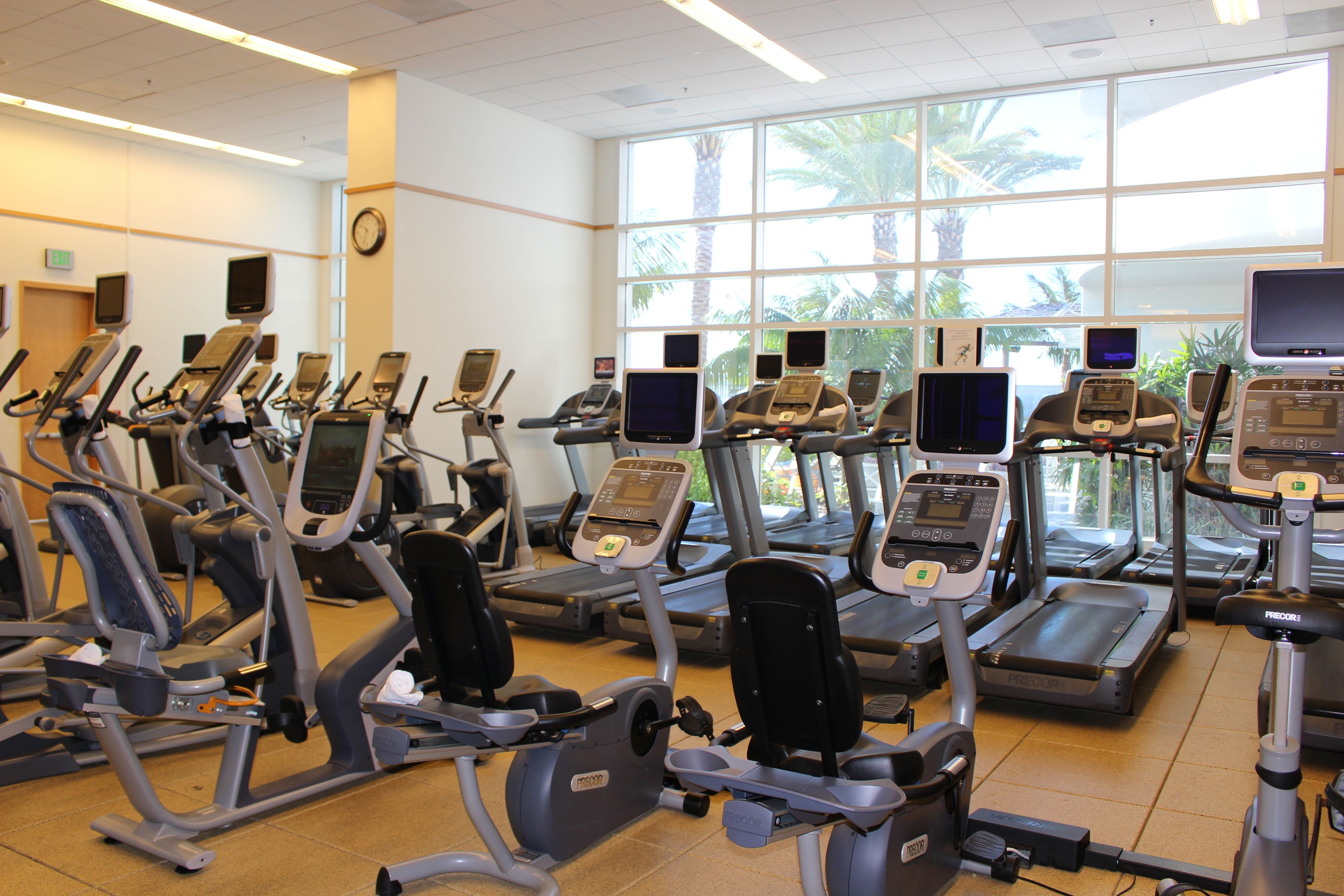 A gym with multiple treadmills, ellipticals, and stationary bikes arranged in rows.