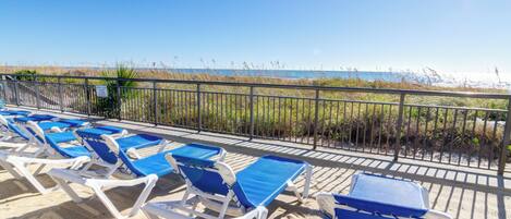 A beachside area with rows of blue and white sun loungers facing the ocean.