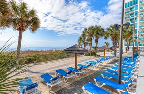 A beachside hotel with sun loungers, palm trees, and a view of the ocean.