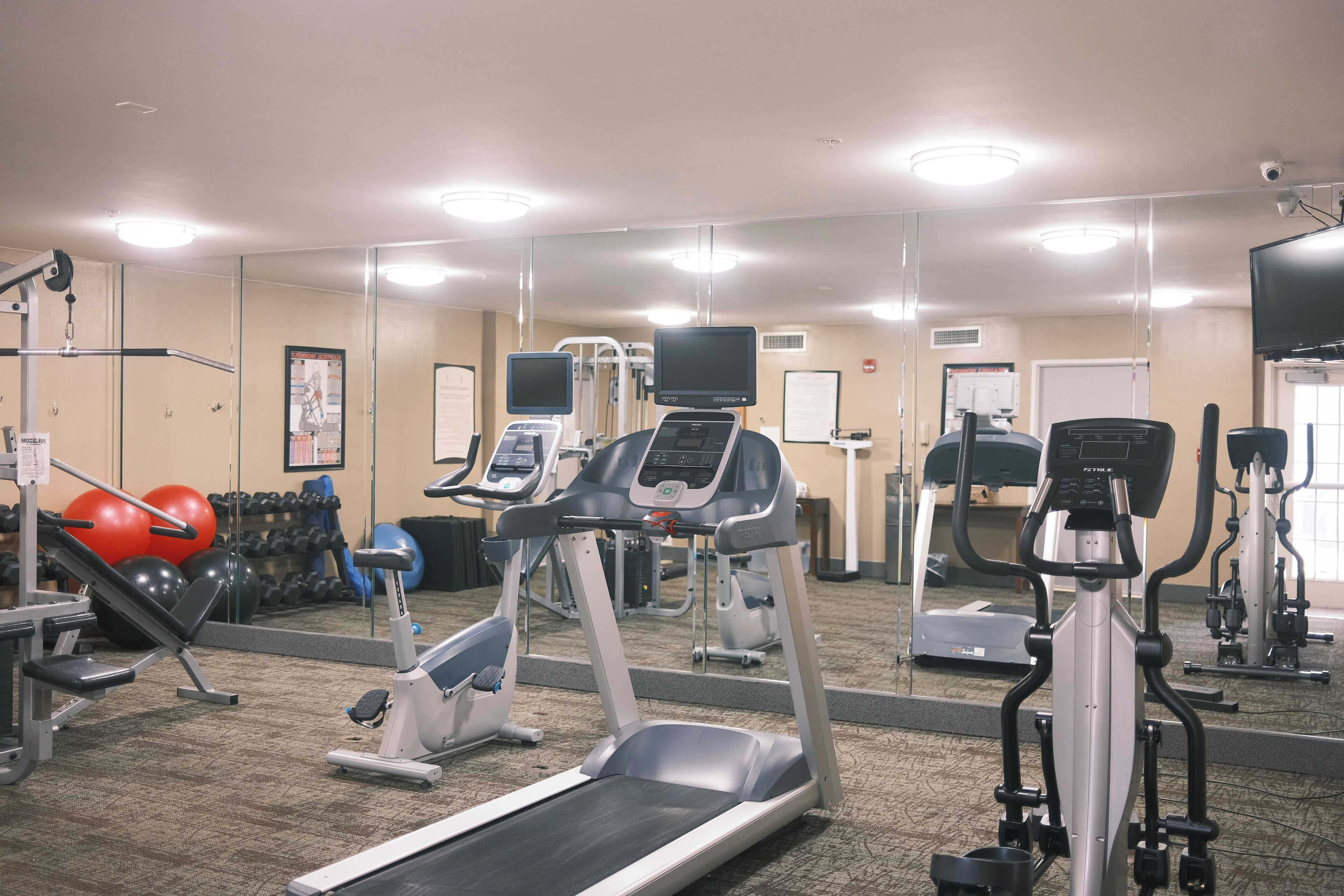 Foto - Staybridge Suites Austin Airport by IHG