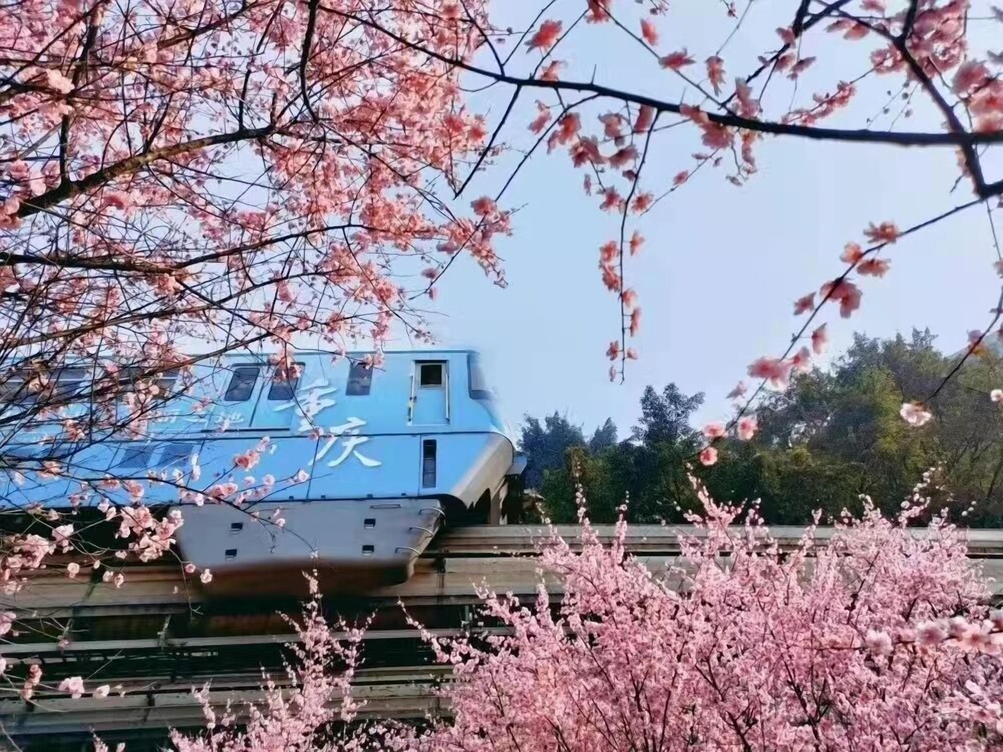 A building with a blue facade and signage in a foreign language.