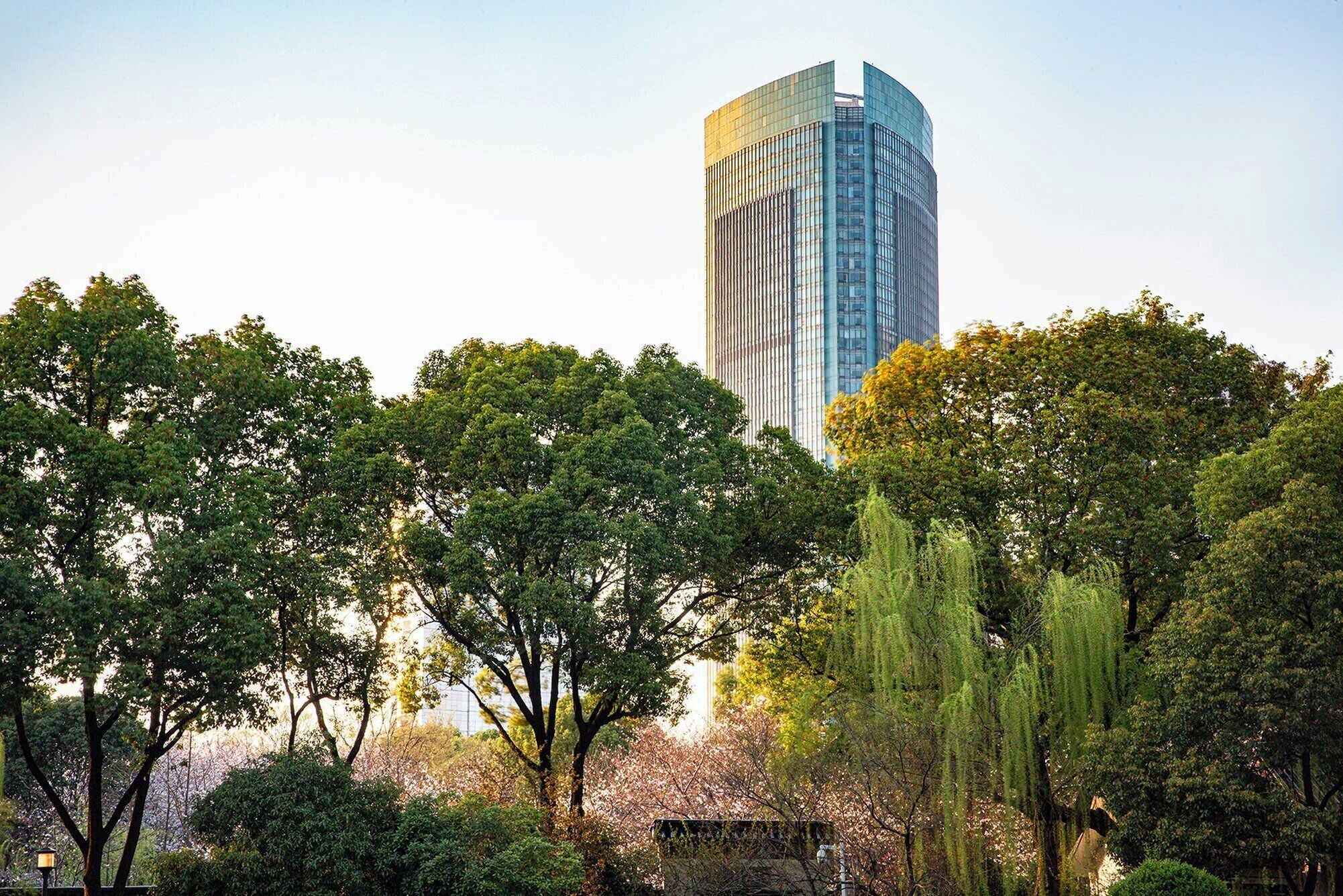 A tall modern building with a glass facade, surrounded by lush green trees and a small structure in the foreground.