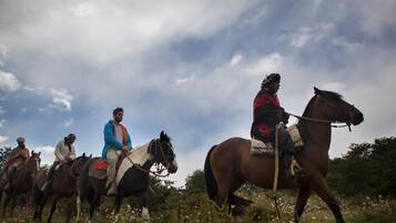 Un grupo de personas montando caballos en un campo bajo un cielo nublado.