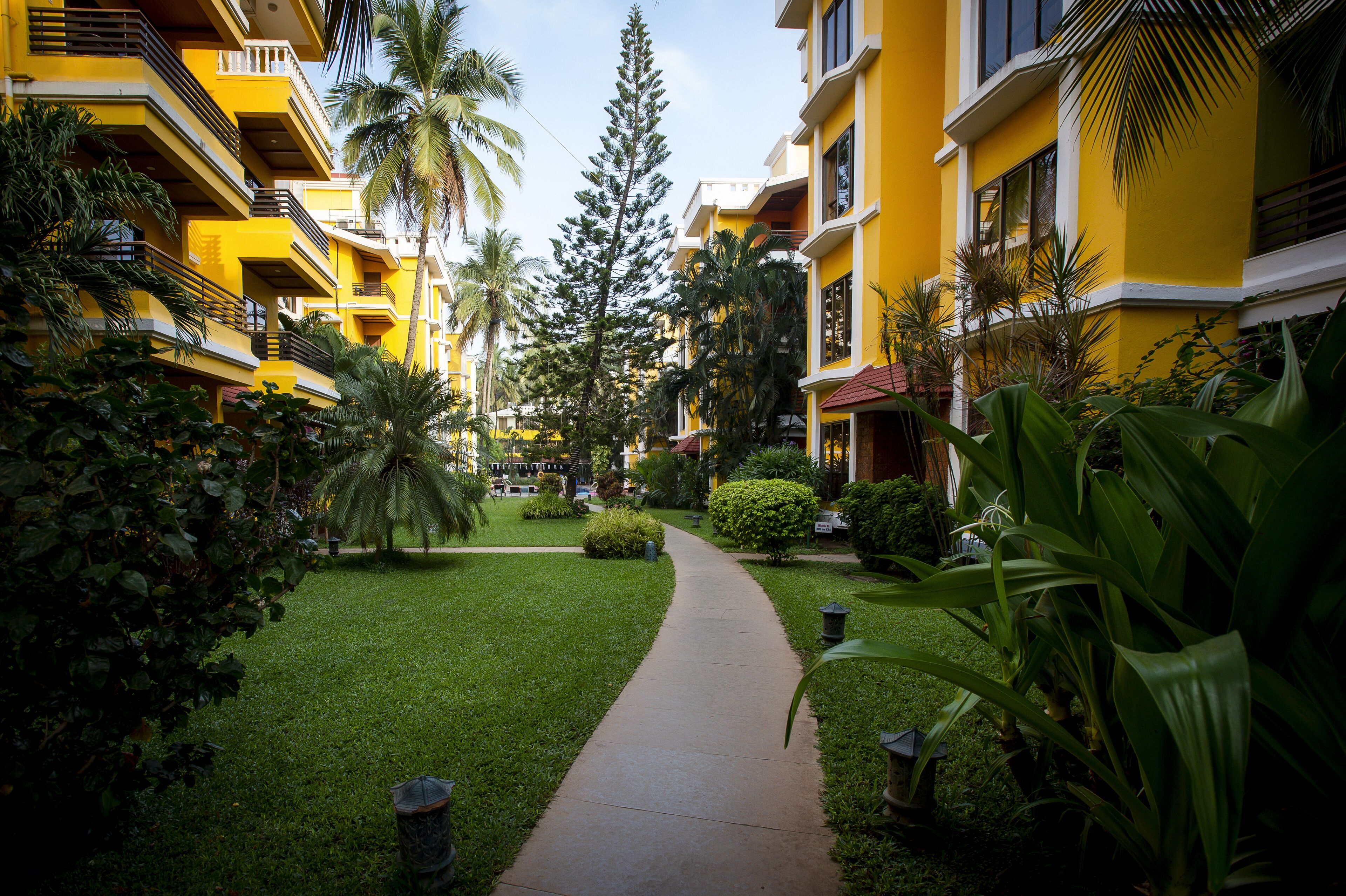 Foto - Adamo The Bellus Calangute