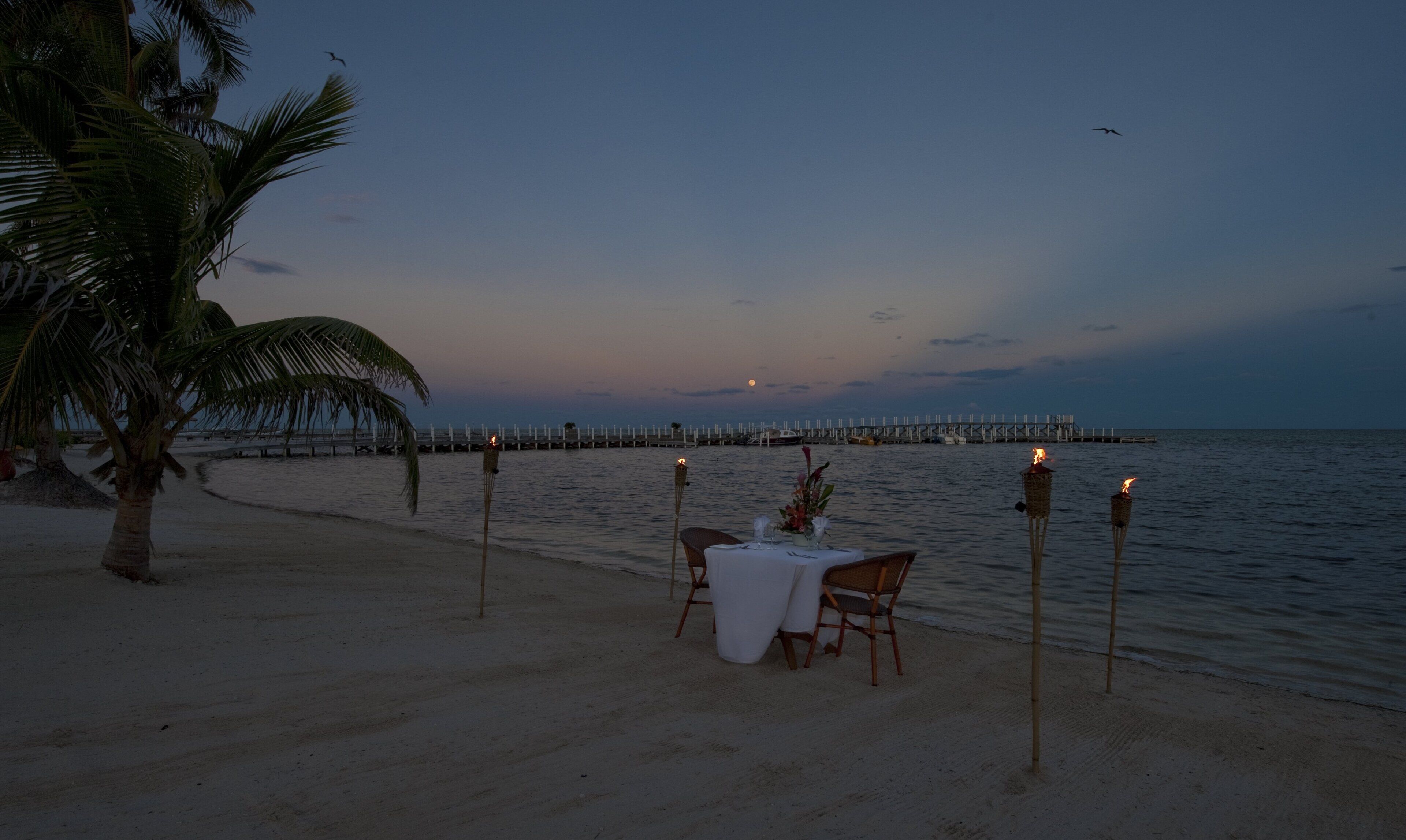 Ein Essbereich am Strand mit Tisch und Stühlen, einer Palme und einem Steg im Hintergrund.