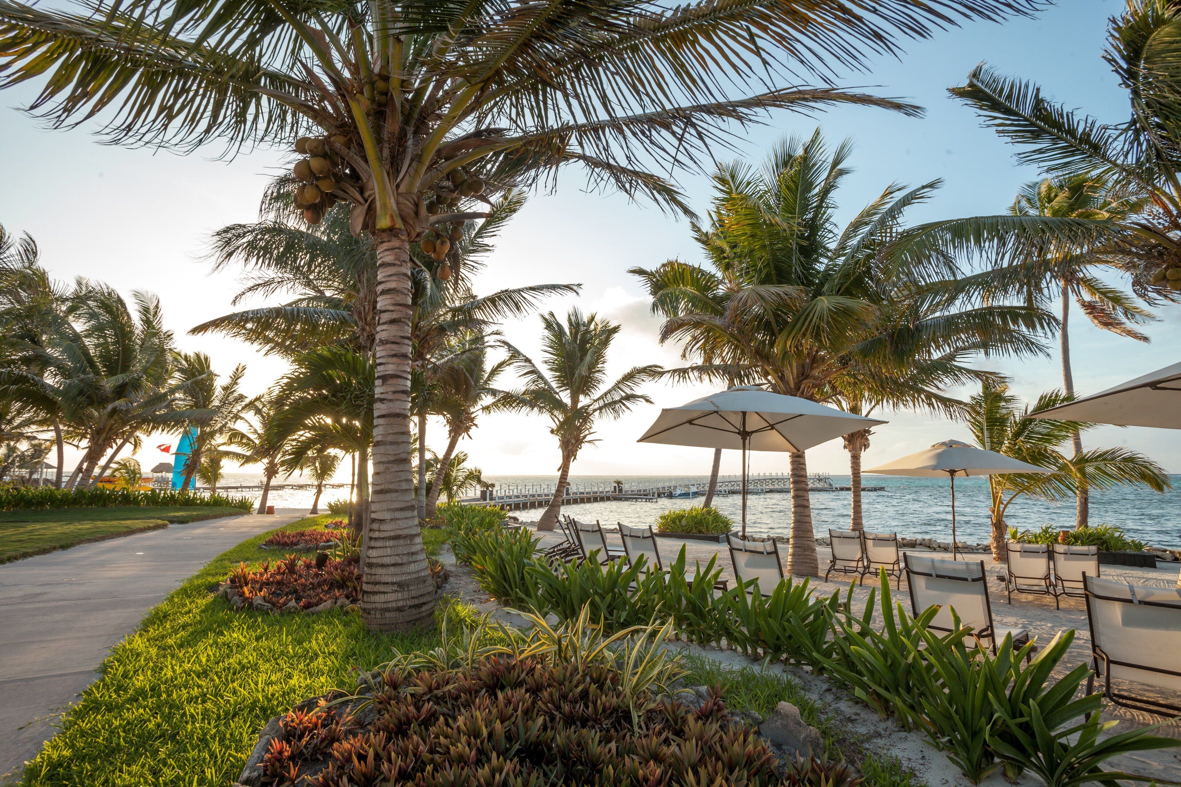 1 間睡房、高級寢具、房內夾萬、遮光窗簾/窗簾