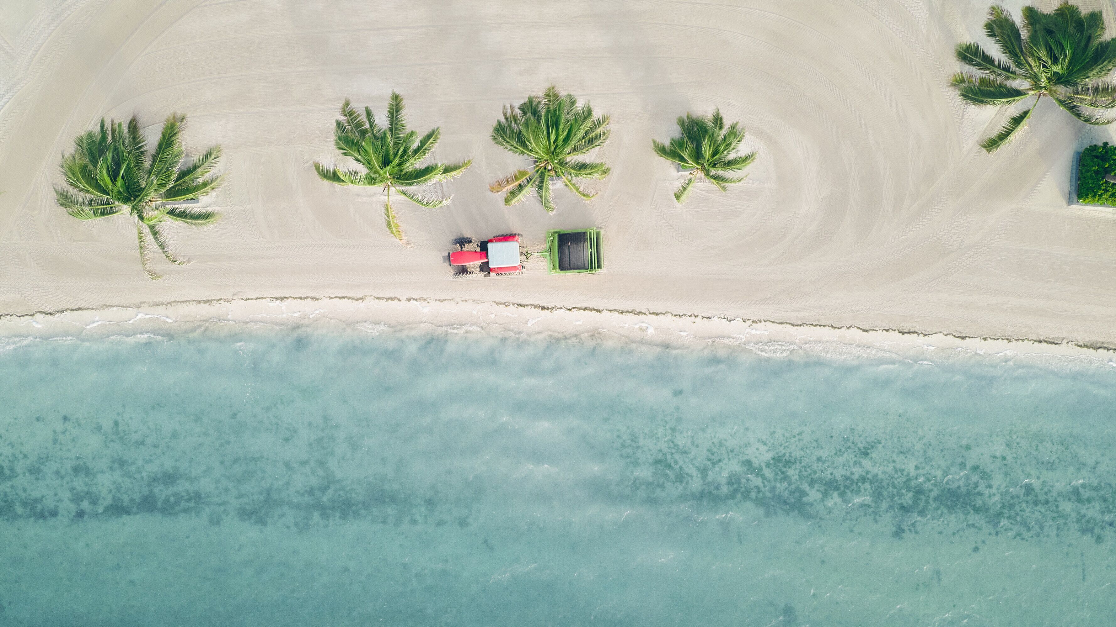 Vista aérea de una playa con palmeras y un vehículo rojo estacionado en la arena.