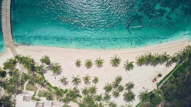 Vista aérea de una playa con aguas turquesas cristalinas, una orilla arenosa y filas de palmeras.