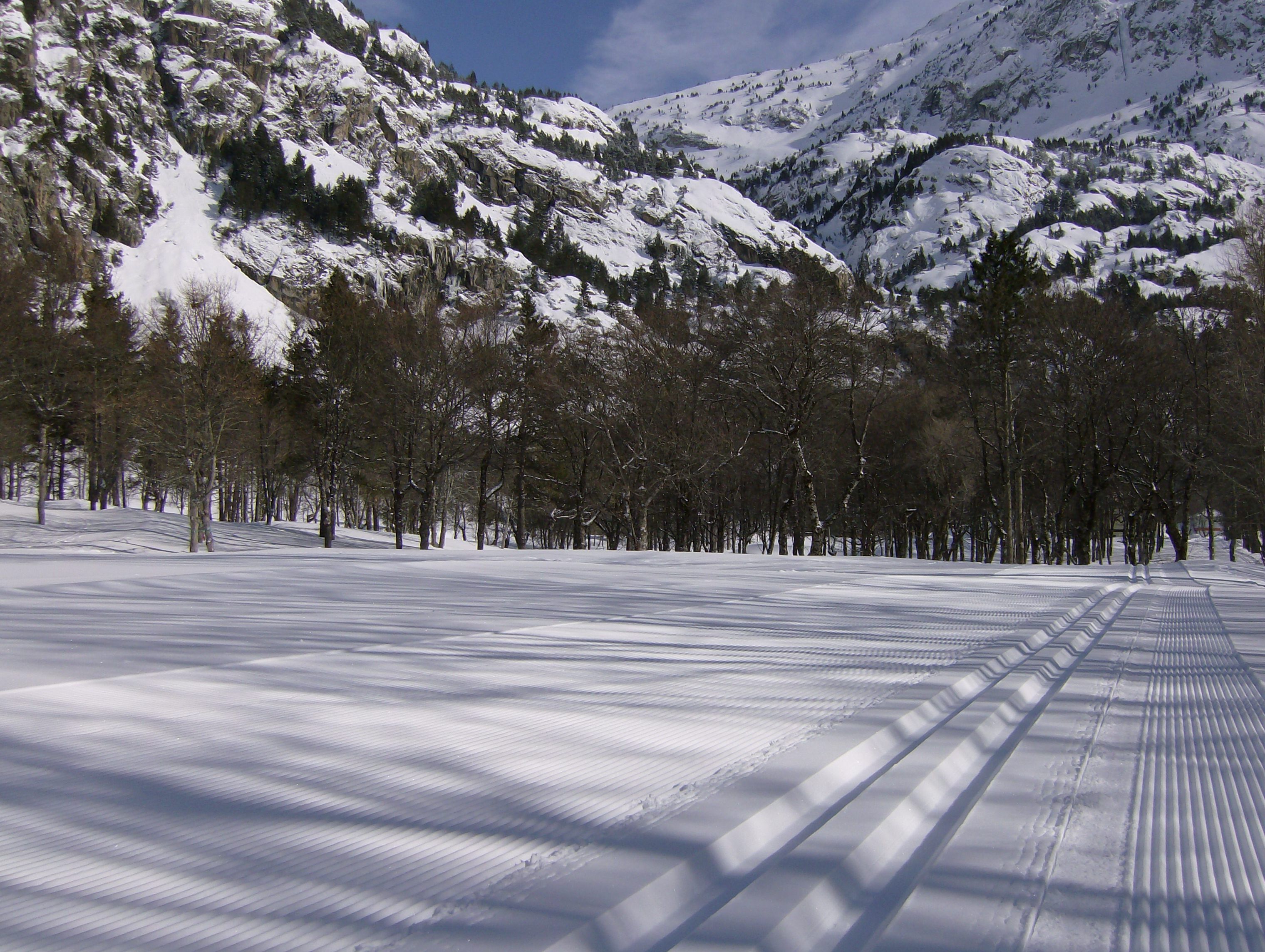 A snow-covered landscape with a clear sky, a forested area, and a mountain range in the background.