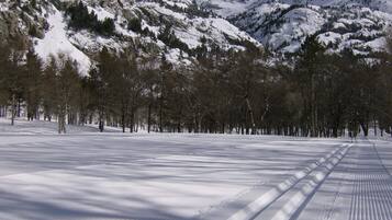 A snow-covered landscape with a clear sky, a forested area, and a mountain range in the background.