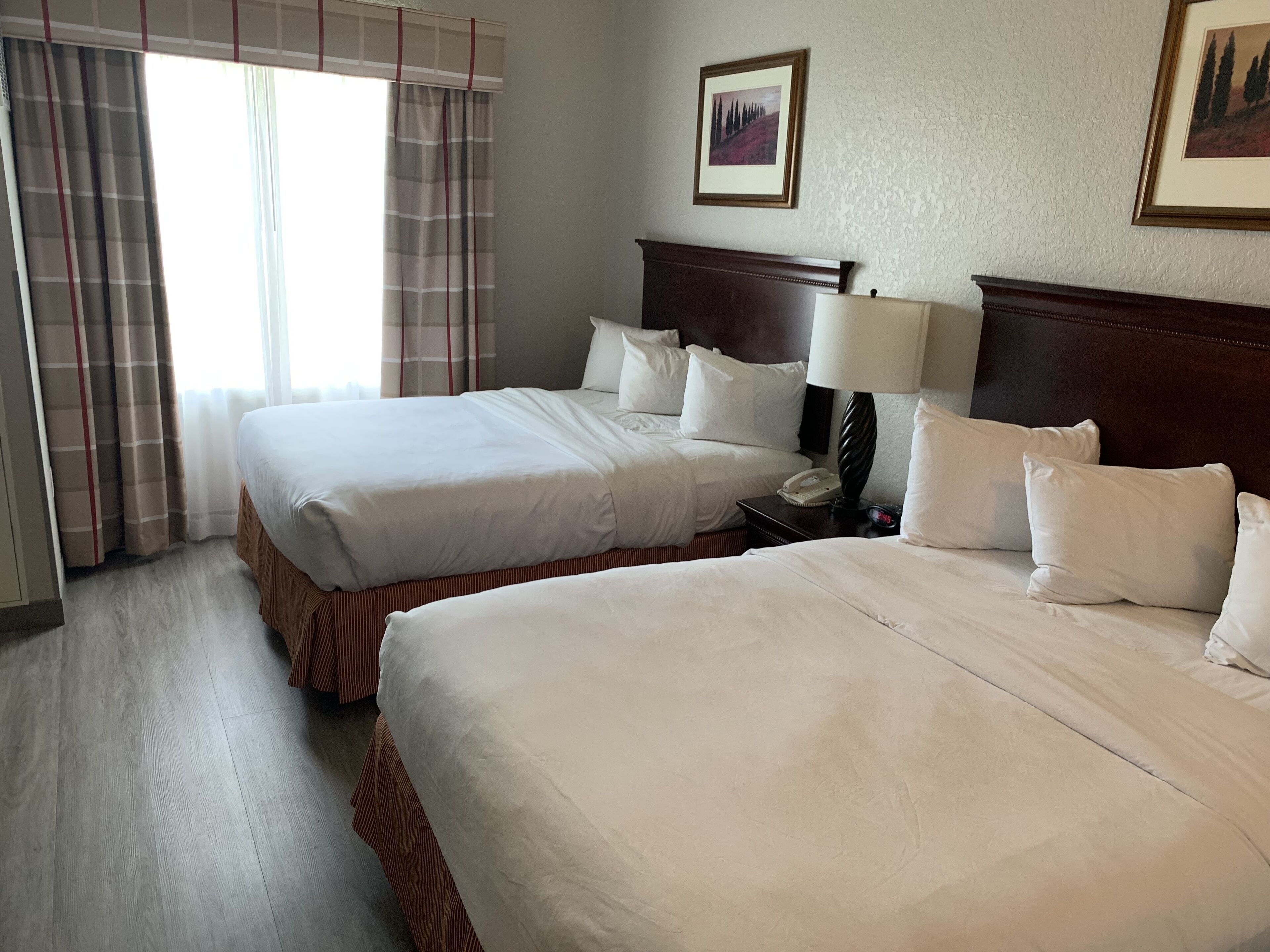 Habitación de hotel con dos camas, una mesita de noche con lámpara, teléfono y un cuadro en la pared.